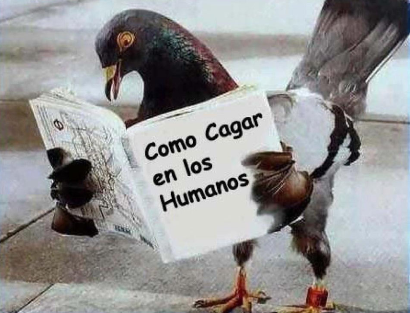 Un meme clásico y no muy alejado de la realidad.